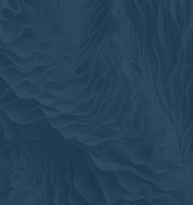 Seitenbild der Startseite mit blau gefärbter, wellenförmiger Struktur